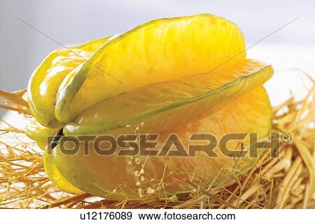 Close-Up, Day, Dry, Fresh, Fruit View Large Photo Image Stock Photo - Close-Up, Day, Dry, Fresh, Fruit. Fotosearch