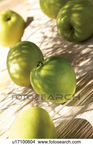 Close-Up, Day, Fresh, Fruit, Green View Large Photo Image Picture - Close-Up, Day, Fresh, Fruit, Green. Fotosearch