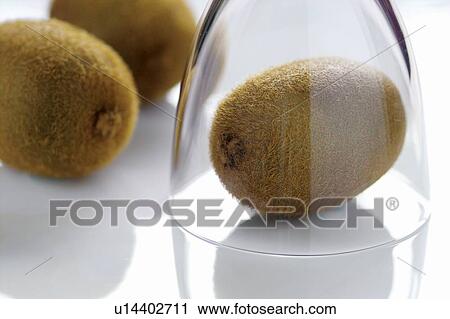Close-Up, Fresh, Fruit, Glass, Health View Large Photo Image Stock Image - Close-Up, Fresh, Fruit, Glass, Health. Fotosearch