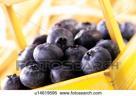 Stock Photography - Close-Up, Health, Still Life, Large Group Of Objects. Fotosearch