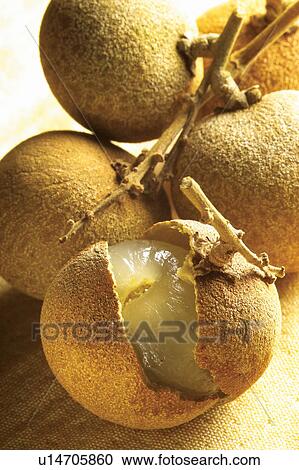 Food And Drink, Freshness, Healthy Eating, Fruit, Health, Fresh View Large Photo Image Stock Image - Food And Drink, Freshness, Healthy Eating, Fruit, Health, Fresh. Fotosearch