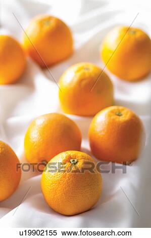 Stock Photography - Health, Citrus Fruit, Healthy Eating, Fruit, Food And Drink, Indoor, Group Of Animals. Fotosearch
