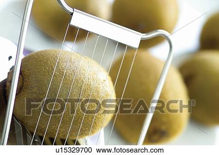 Stock Image - Tilt, Freshness, Kiwi, Indoor, Fresh, Food And Drink. Fotosearch