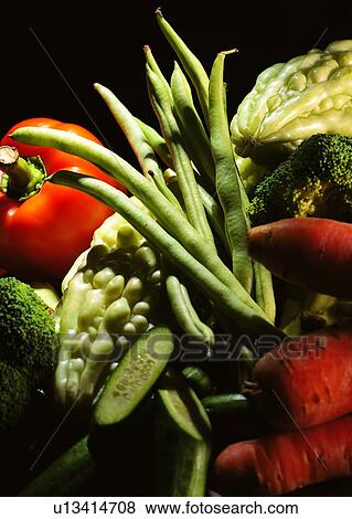 Stock Photo - food, carrot, cauliflower, balsam pear, tomato, vegetable. Fotosearch