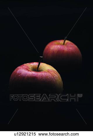 food, fruit, apple, shadow View Large Photo Image Stock Photography - food, fruit, apple, shadow. Fotosearch