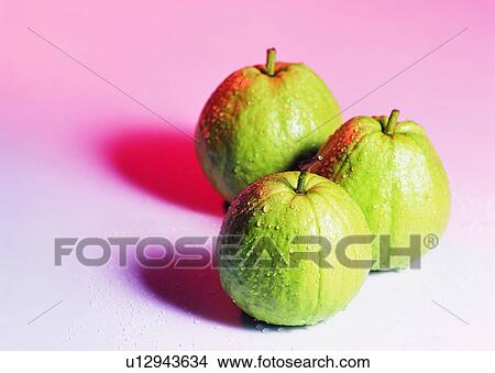 Picture - food, fruit, guava, water drop, shadow, light. Fotosearch