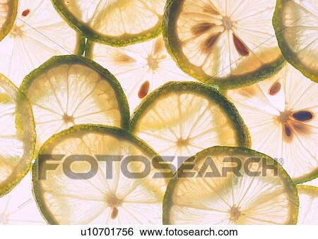 Stock Photograph - food, fruit, lemon, seed, light. Fotosearch