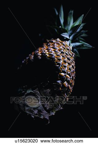 food, fruit, pineapple, shadow View Large Photo Image Stock Image - food, fruit, pineapple, shadow. Fotosearch