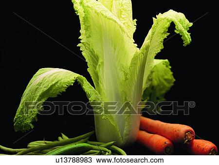 Stock Image - food, vegetable, beam, chili, Chinese cabbage, carrot. Fotosearch