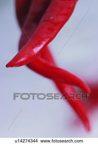 food, vegetable, chili View Large Photo Image Picture - food, vegetable, chili. Fotosearch
