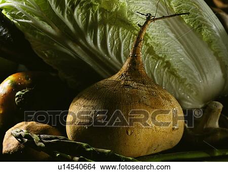 food, vegetable, Chinese cabbage, tomato, potato, asparagus View Large Photo Image Picture - food, vegetable, Chinese cabbage, tomato, potato, asparagus. Fotosearch