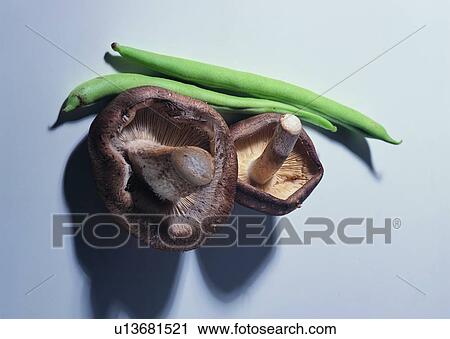 Stock Image - food, vegetable, mushroom. Fotosearch