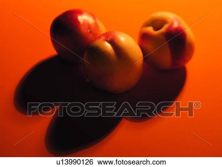 fruit, food, light, shadow, apple View Large Photo Image Stock Photograph - fruit, food, light, shadow, apple. Fotosearch