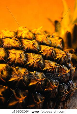 Picture - fruit, pineapple, food. Fotosearch