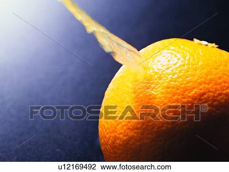 orange, food, fruit, juice View Large Photo Image Stock Image - orange, food, fruit, juice. Fotosearch