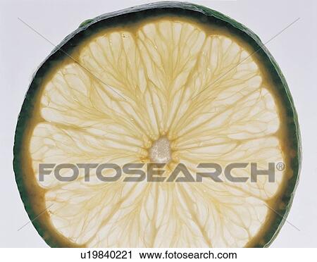 Stock Image - slice, sliced, citrus food, lemon, portion. Fotosearch