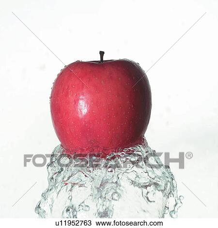 eatable, hit fall, freshness, liquid, wet, close-up View Large Photo Image Stock Image - eatable, hit fall, freshness, liquid, wet, close-up. Fotosearch