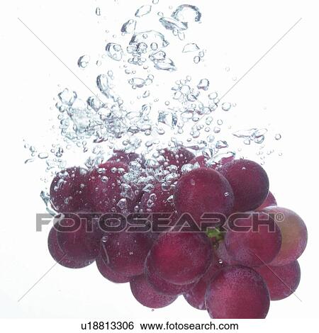Stock Photograph - fresh, edible, organic, hitting, close-up, freshness, appearance. Fotosearch