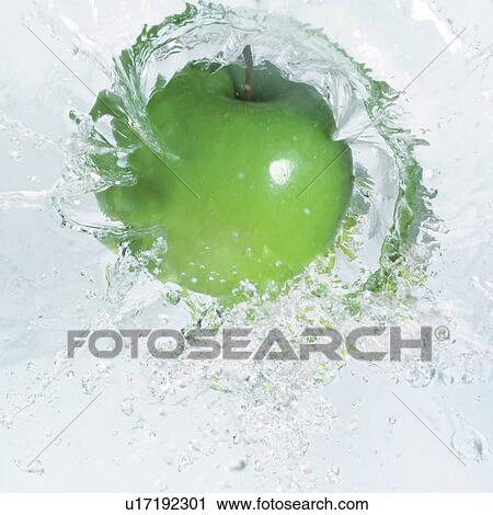 fresh fruit, edible, shine, health food, hit fall, eatable, fresh View Large Photo Image Stock Image - fresh fruit, edible, shine, health food, hit fall, eatable, fresh. Fotosearch
