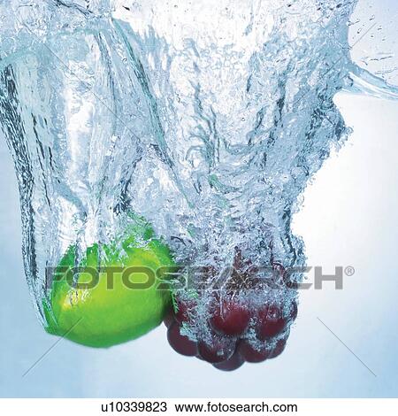 fresh fruit, square, organic, eatable, hit fall, seed bearing, drop View Large Photo Image Stock Image - fresh fruit, square, organic, eatable, hit fall, seed bearing, drop. Fotosearch