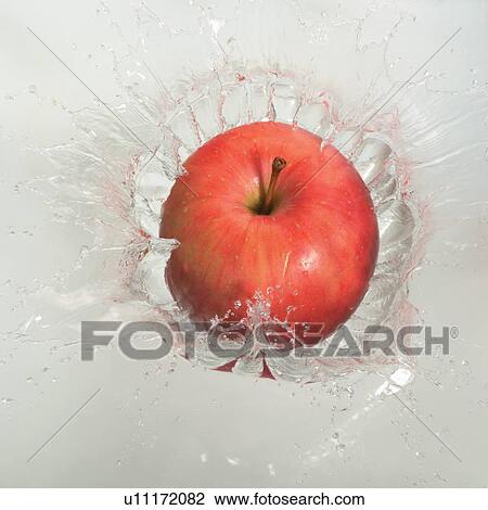 health food, close-up, produce, shine, wet View Large Photo Image Stock Image - health food, close-up, produce, shine, wet. Fotosearch