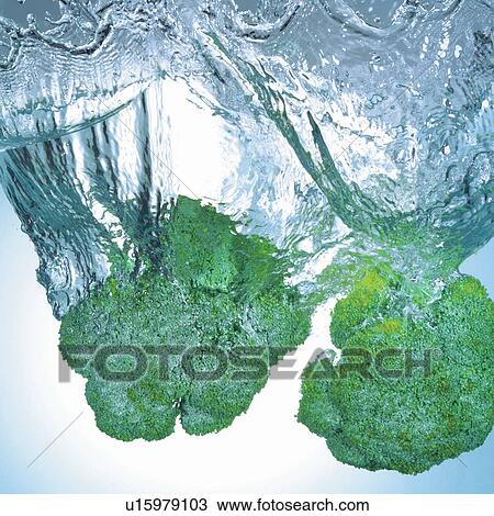 Stock Image - broccoli, elements, hit, mature, sustenance, fall, close-up. Fotosearch