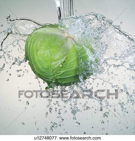 Stock Photo - cabbage, vegetation, food, nutrition, fresh, indoor, vegetable. Fotosearch