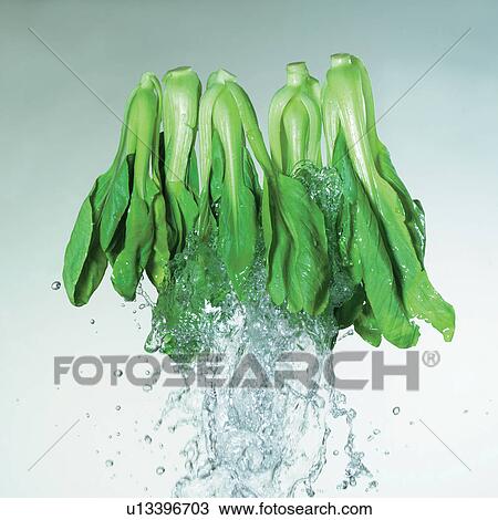 Stock Image - close-up, herb, wet, elements, stalk, organic, liquid. Fotosearch