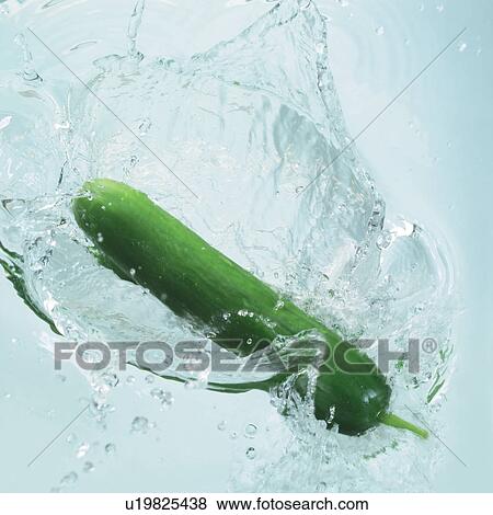 elements, cucumber, food stuff, indoor, square, edible, grown View Large Photo Image Stock Photo - elements, cucumber, food stuff, indoor, square, edible, grown. Fotosearch