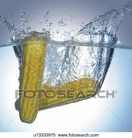 Stock Photography - elements, herb, effect, food, grown, food stuff. Fotosearch