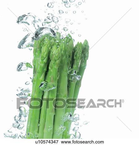 Stock Photo - fresh, sustenance, mature, elements, growth, wet. Fotosearch