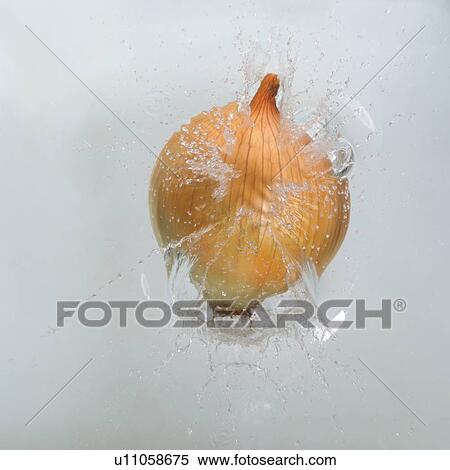 Stock Photography - herb, produce, grown, fall, indoor, splash, liquid. Fotosearch
