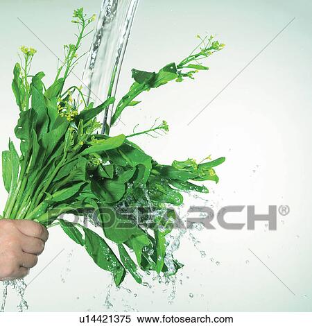Stock Photography - hit, close-up, organic, ingredients, effect, food, food stuff. Fotosearch