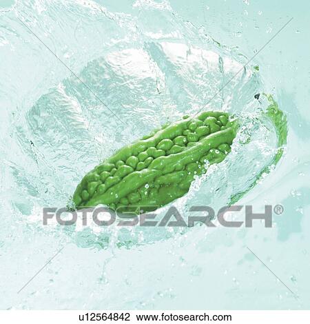 Stock Image - liquid, mature, splash, indoor, bitter gourd, vegetation, organic. Fotosearch