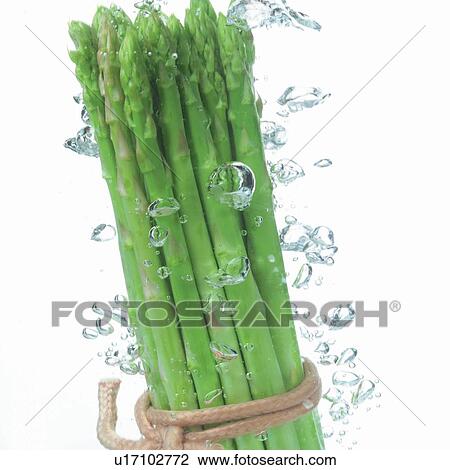 Stock Image - square, asparagus, bundle, close-up. Fotosearch