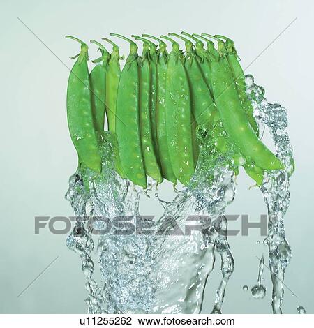 Stock Image - square, beans, close-up, droplet. Fotosearch