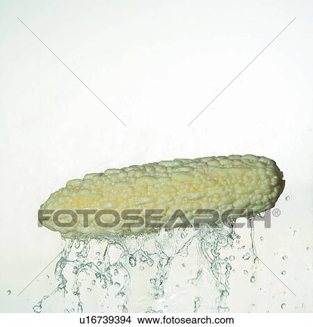 Picture - square, bitter gourd, close-up, droplet. Fotosearch