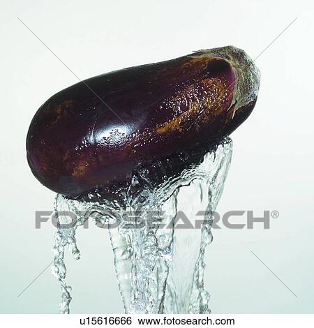 square, brinjal, close-up, droplet View Large Photo Image Stock Photograph - square, brinjal, close-up, droplet. Fotosearch