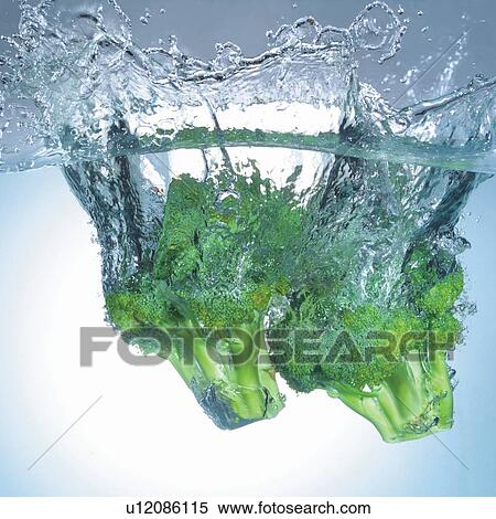 Stock Photography - square, broccoli, close-up, droplet. Fotosearch