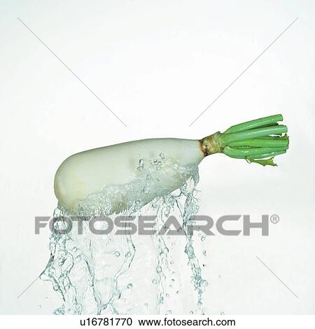 Stock Image - square, edible, food, elements. Fotosearch