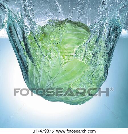 Stock Photography - square, edible, food, elements. Fotosearch