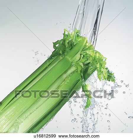 Stock Photo - water, wet, liquid, indoor, food stuff, nourishing. Fotosearch