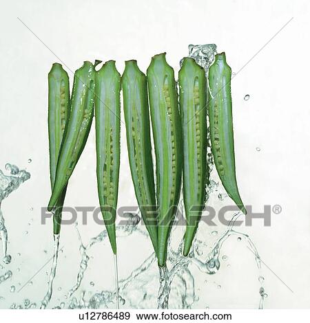 Stock Photo - wet, fall, ingredients, herb, mature, grown, droplet. Fotosearch