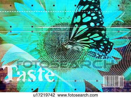 Close-up of a butterfly superimposed on a flower View Large Photo Image Stock Image - Close-up of a butterfly superimposed on a flower. Fotosearch