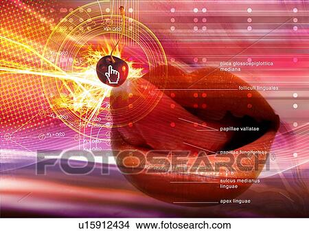 Picture - Close-up of a cherry superimposed on a woman's lips. Fotosearch