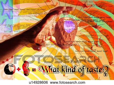Stock Photograph - Close-up of a human hand superimposed on pea pods. Fotosearch