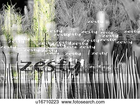Stock Image - Close-up of text superimposed on a field. Fotosearch