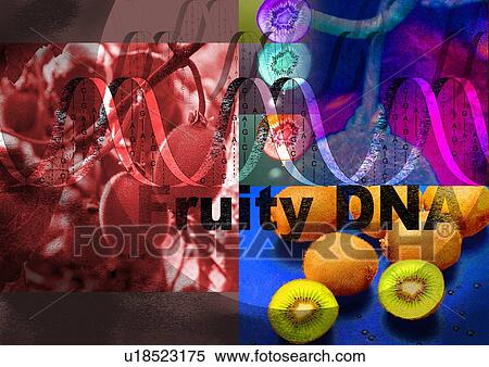 Close-up of text superimposed on a background of kiwi fruit View Large Photo Image Stock Photography - Close-up of text superimposed on a background of kiwi fruit. Fotosearch