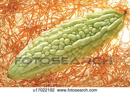 Stock Image - Bitter Gourd, Close-Up, Dry, Eatable, Edible. Fotosearch