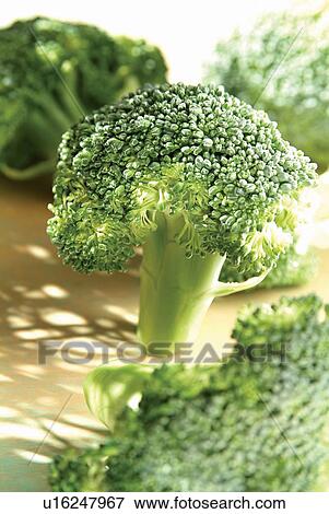Broccoli, Close-Up, Eatable, Edible, Food View Large Photo Image Stock Photo - Broccoli, Close-Up, Eatable, Edible, Food. Fotosearch